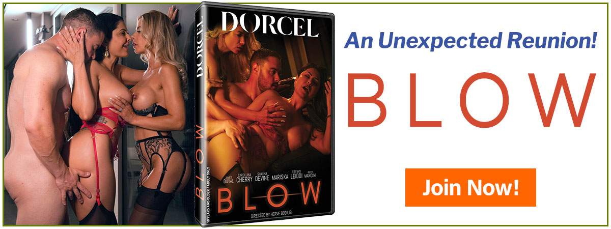An Unexpected Reunion -- See Blow Today!